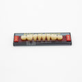 Tablilla de Dientes Acry Lux Ruthinium Posteriores Inferiores 2A N2