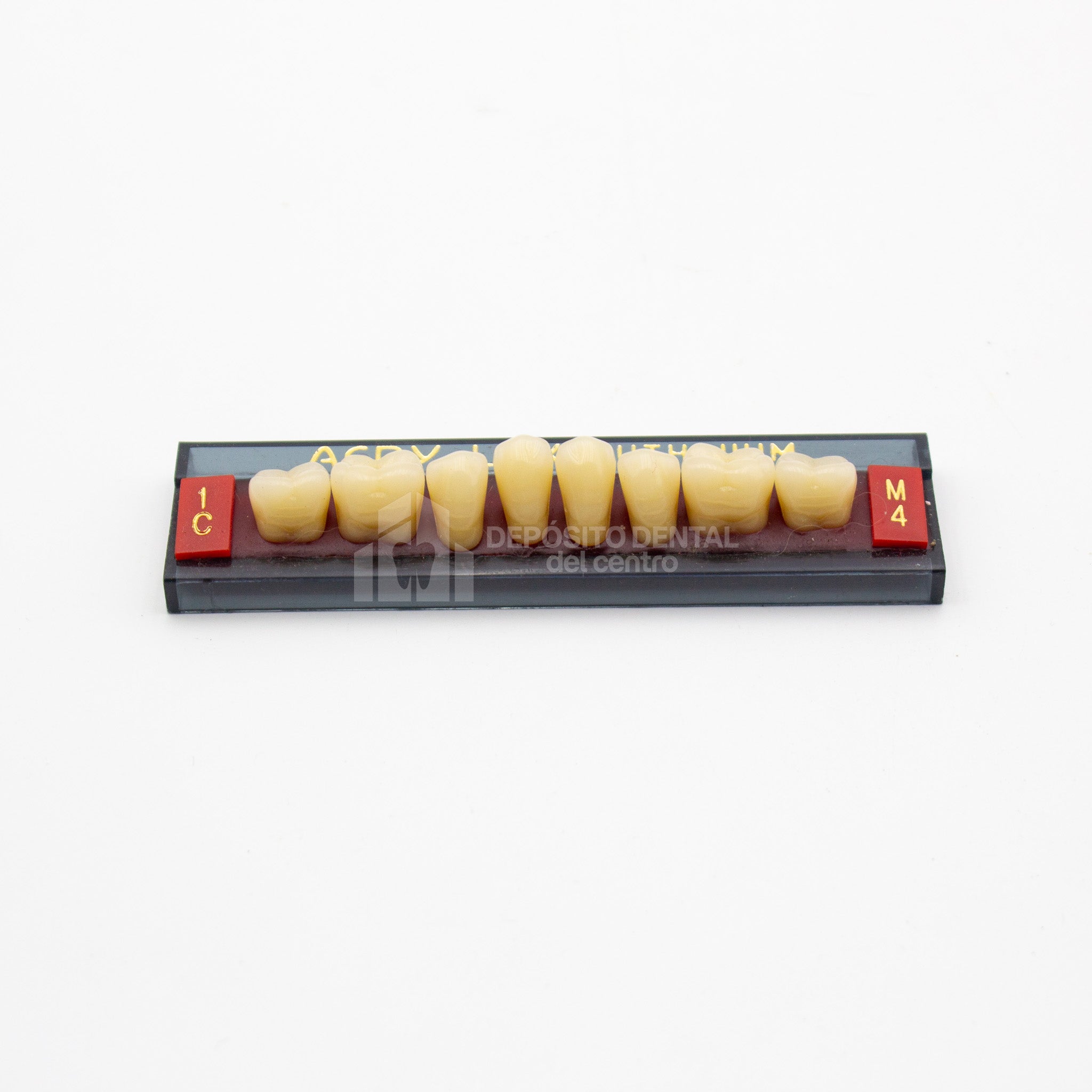 Tablilla de Dientes Acry Lux Ruthinium Posteriores Inferiores 1C M4