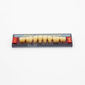 Tablilla de Dientes Acry Lux Ruthinium Posteriores Inferiores 1C M3