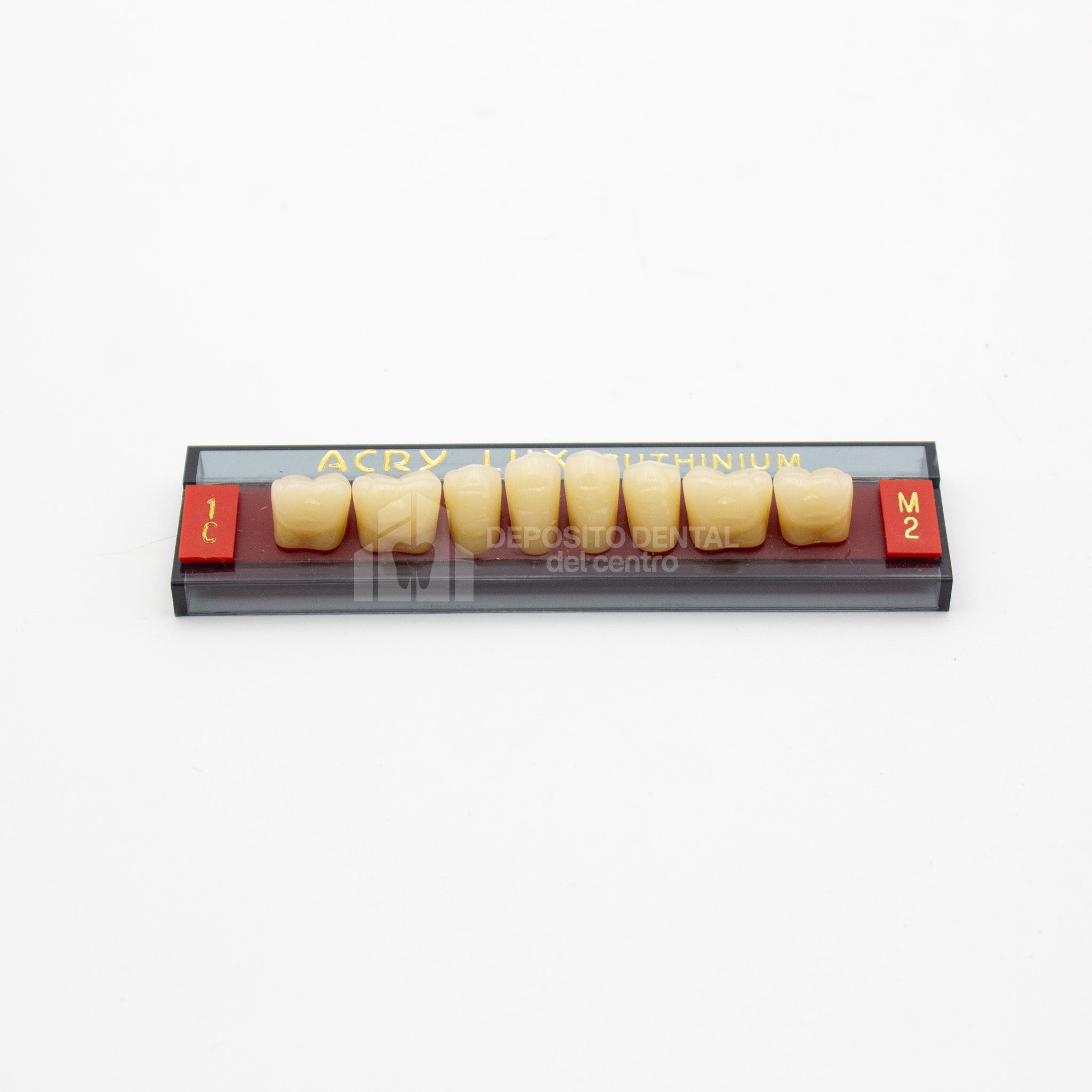 Tablilla de Dientes Acry Lux Ruthinium Posteriores Inferiores 1C M2