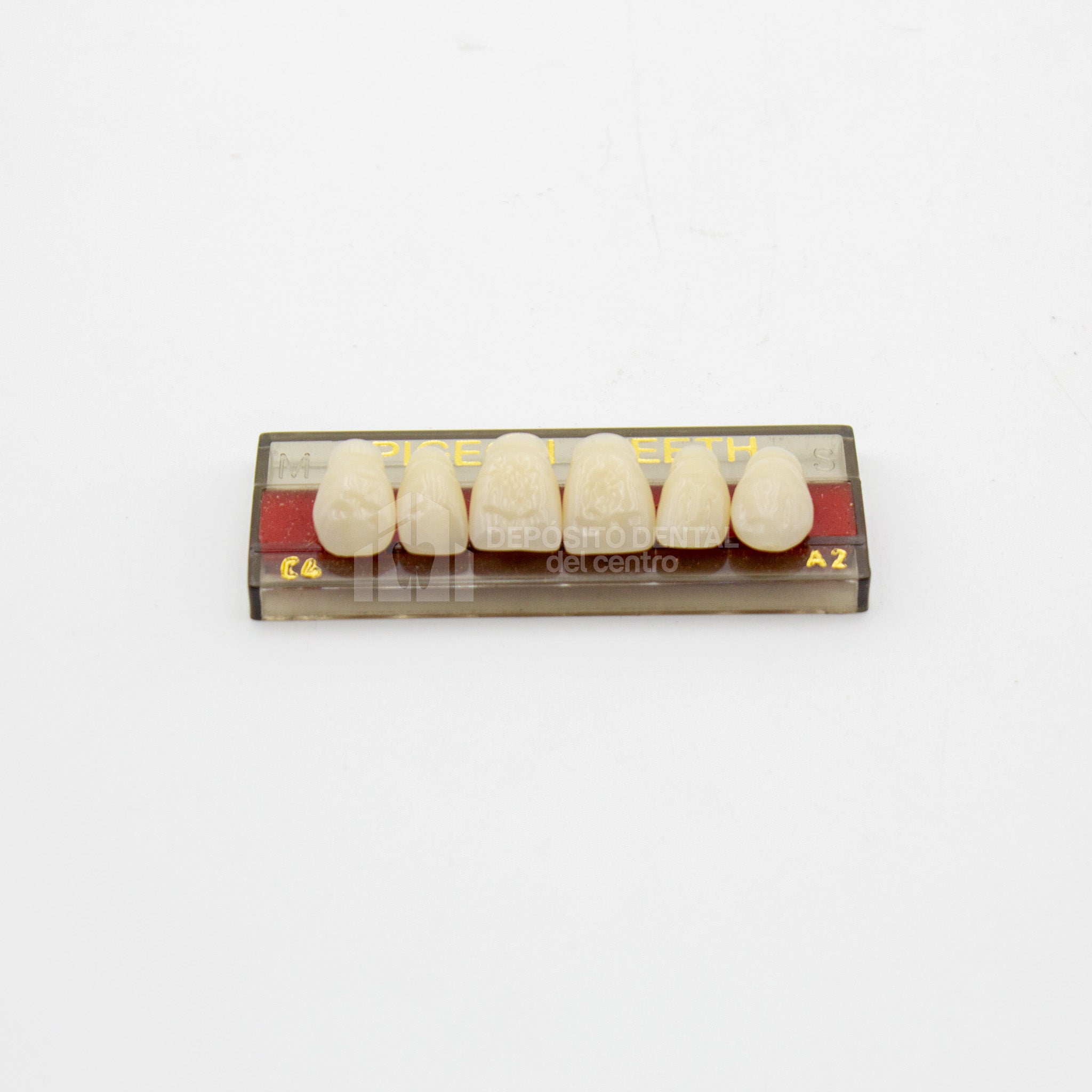 Tablilla de Dientes Pigeon Teeth Anteriores Superiores C4 A2