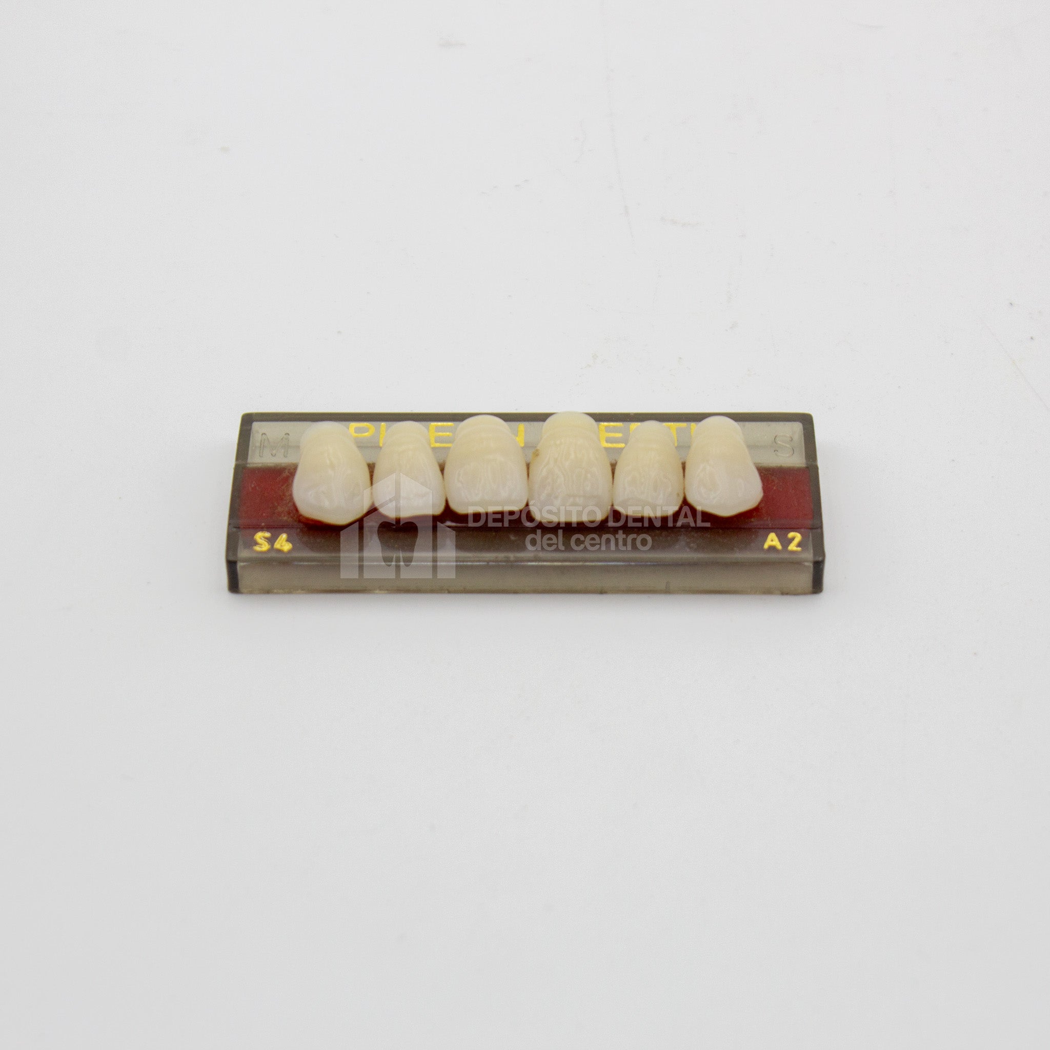 Tablilla de Dientes Pigeon Teeth Anteriores Superiores S4 A2