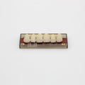 Tablilla de Dientes Pigeon Teeth Anteriores Superiores T5 A2