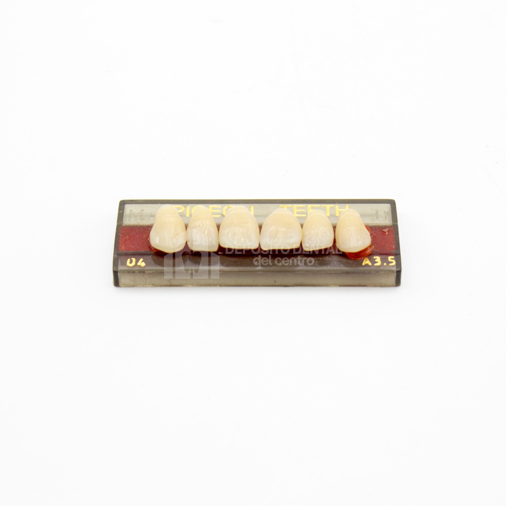 Tablilla de Dientes Pigeon Teeth Anteriores Superiores 04 A3.5