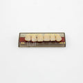 Tablilla de Dientes Pigeon Teeth Anteriores Superiores S4 A3.5