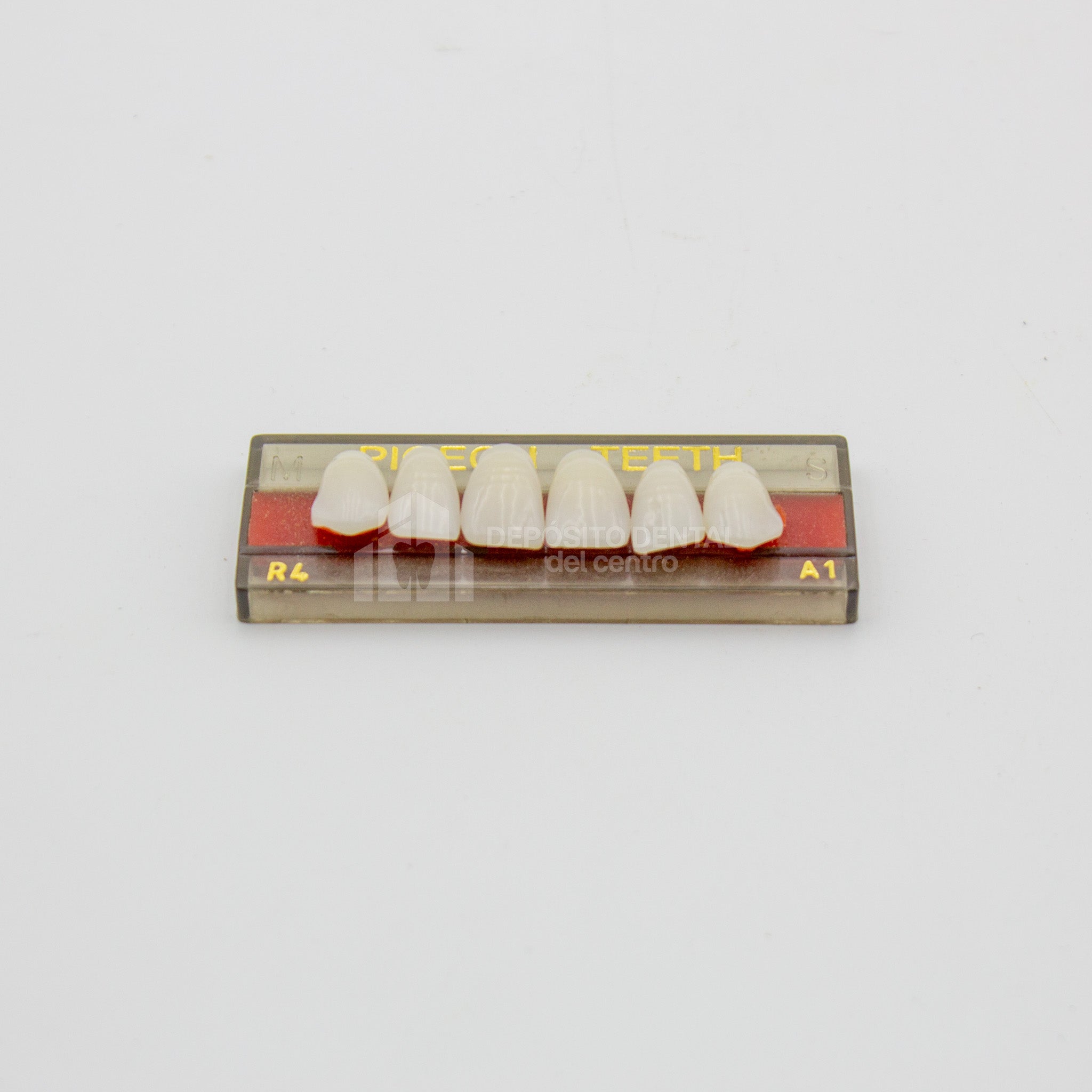 Tablilla de Dientes Pigeon Teeth Anteriores Superiores R4 A1
