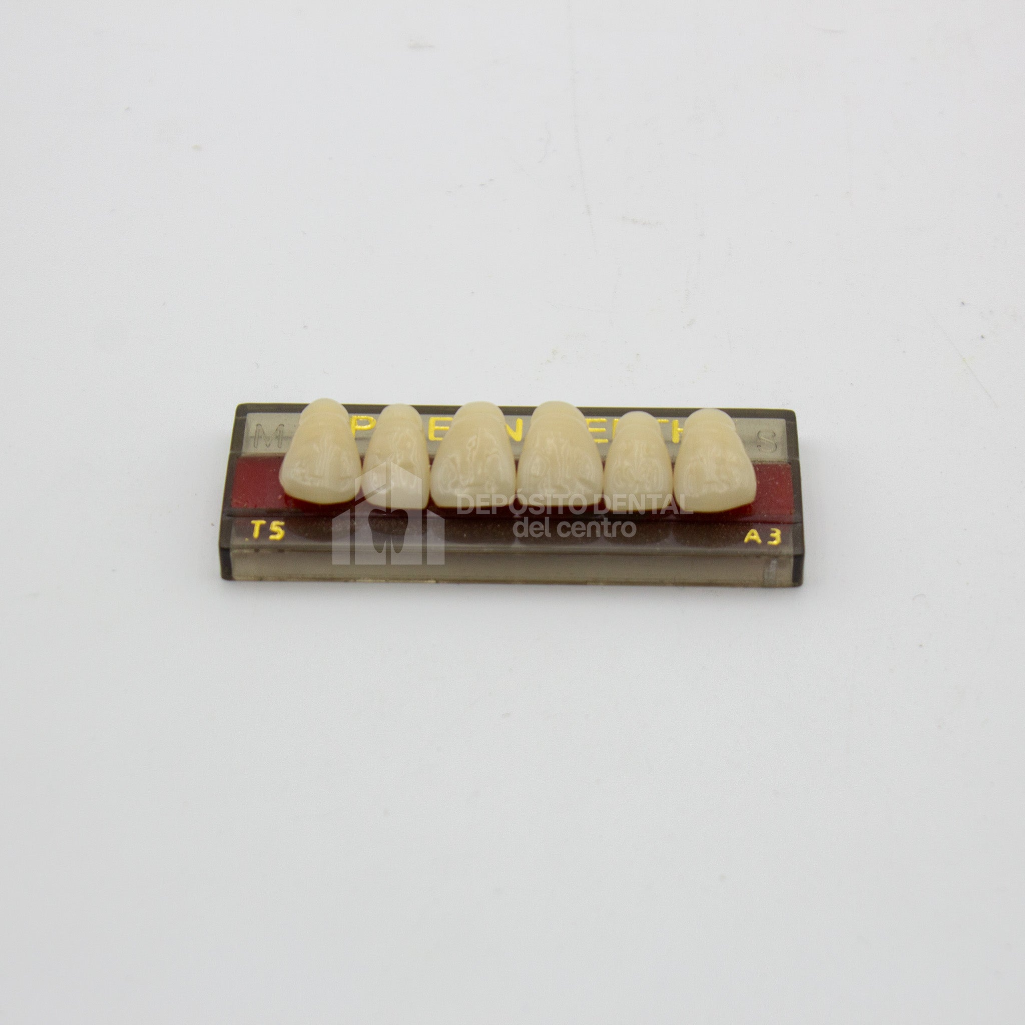 Tablilla de Dientes Pigeon Teeth Anteriores Superiores T5 A3