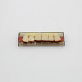 Tablilla de Dientes Pigeon Teeth Anteriores Superiores T5 A3.5