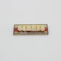 Tablilla de Dientes Pigeon Teeth Anteriores Superiores C4 A3