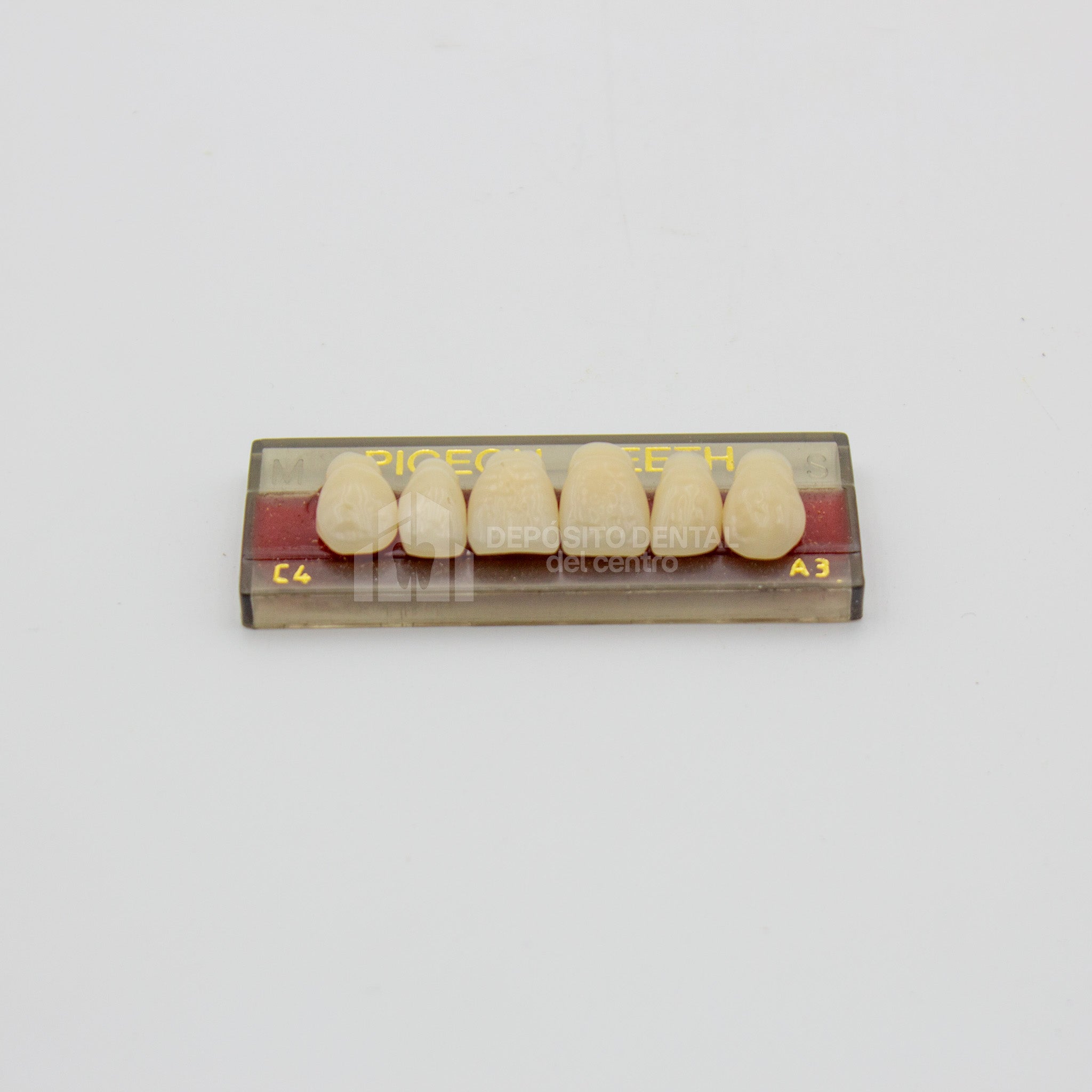 Tablilla de Dientes Pigeon Teeth Anteriores Superiores C4 A3