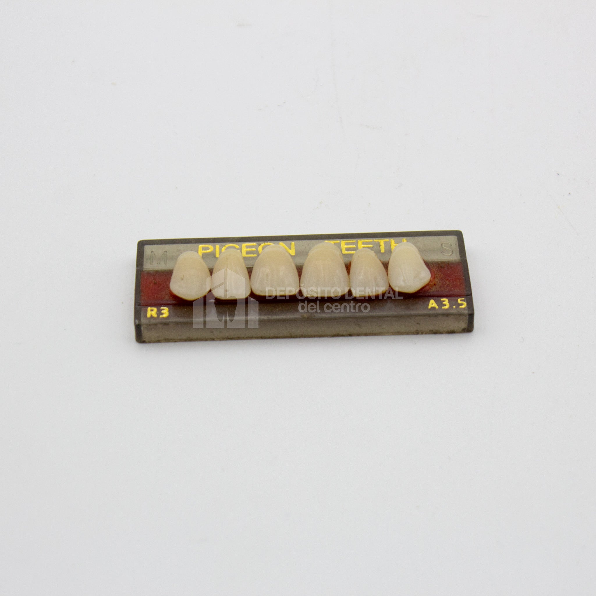 Tablilla de Dientes Pigeon Teeth Anteriores Superiores R3 A3.5