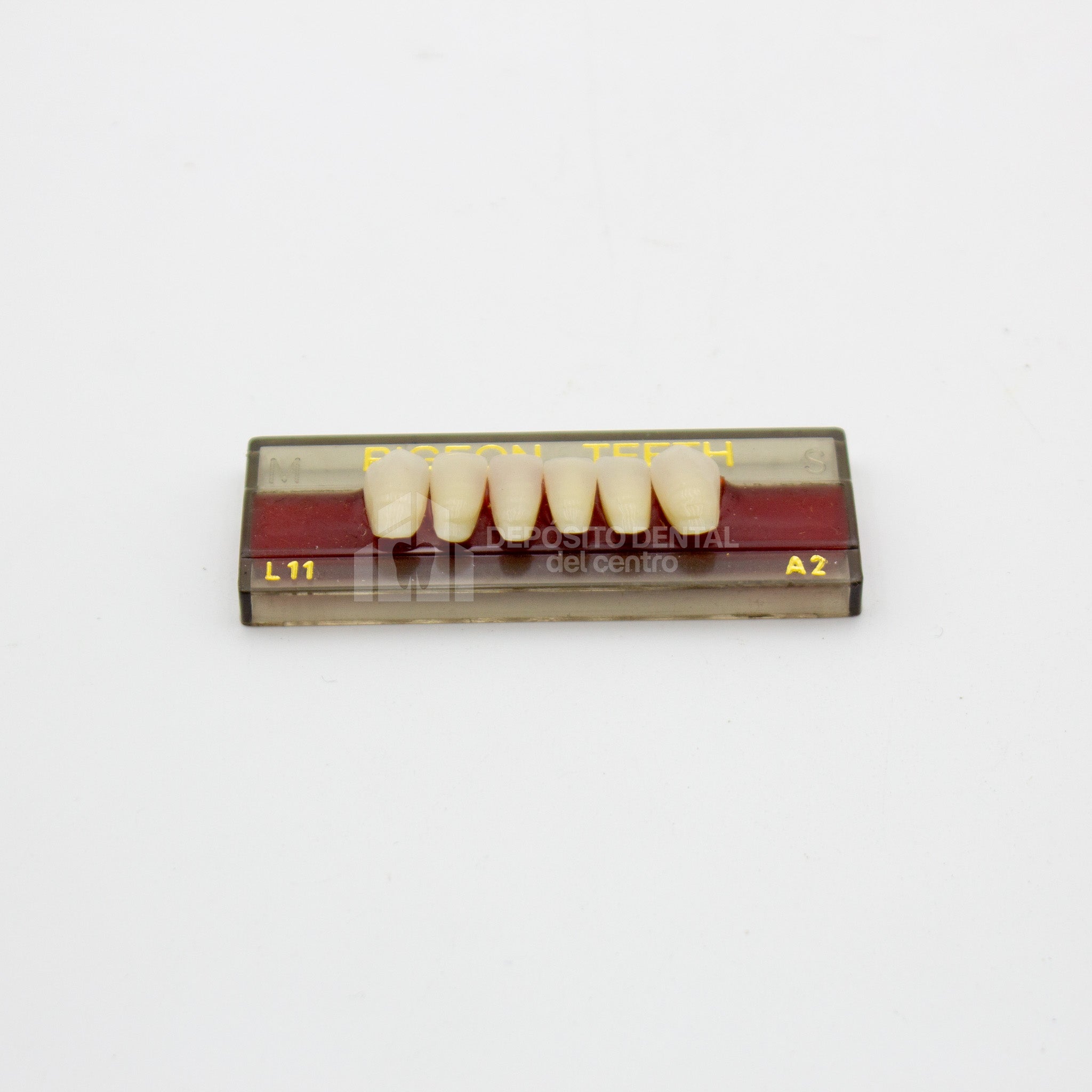 Tablilla de Dientes Pigeon Teeth Inferiores Anteriores L11 A2