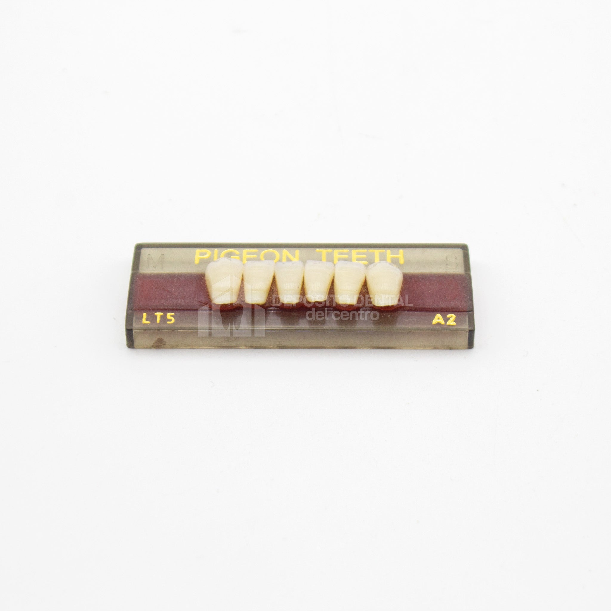 Tablilla de Dientes Pigeon Teeth Inferiores Anteriores LT5 A2