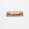 Tablilla de Dientes Pigeon Teeth Inferiores Anteriores L12 A2