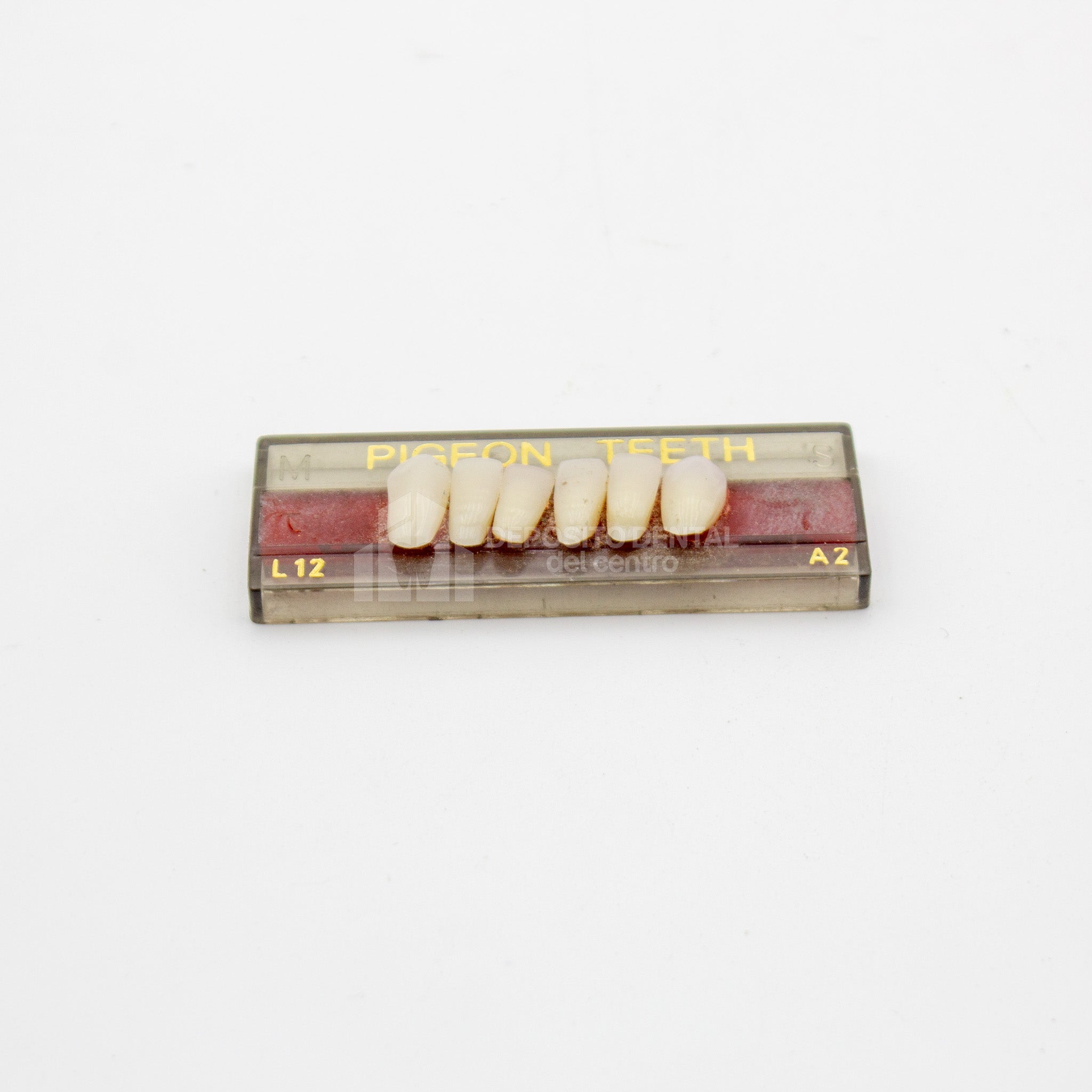 Tablilla de Dientes Pigeon Teeth Inferiores Anteriores L12 A2