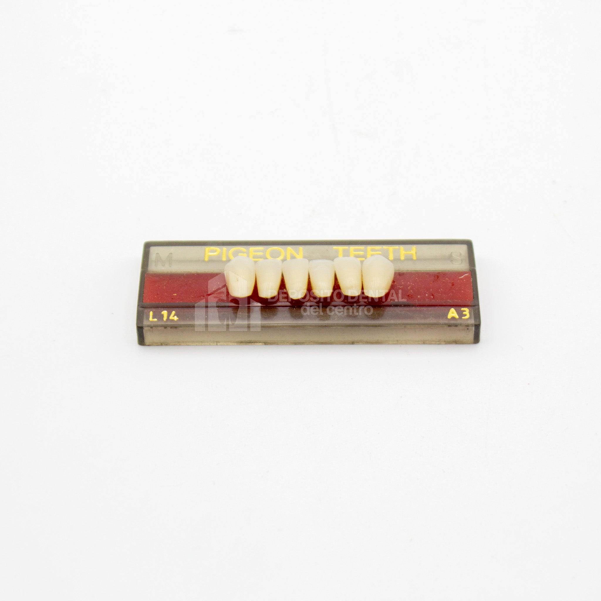 Tablilla de Dientes Pigeon Teeth Inferiores Anteriores L14 A3