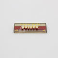 Tablilla de Dientes Pigeon Teeth Inferiores Anteriores L12 A3