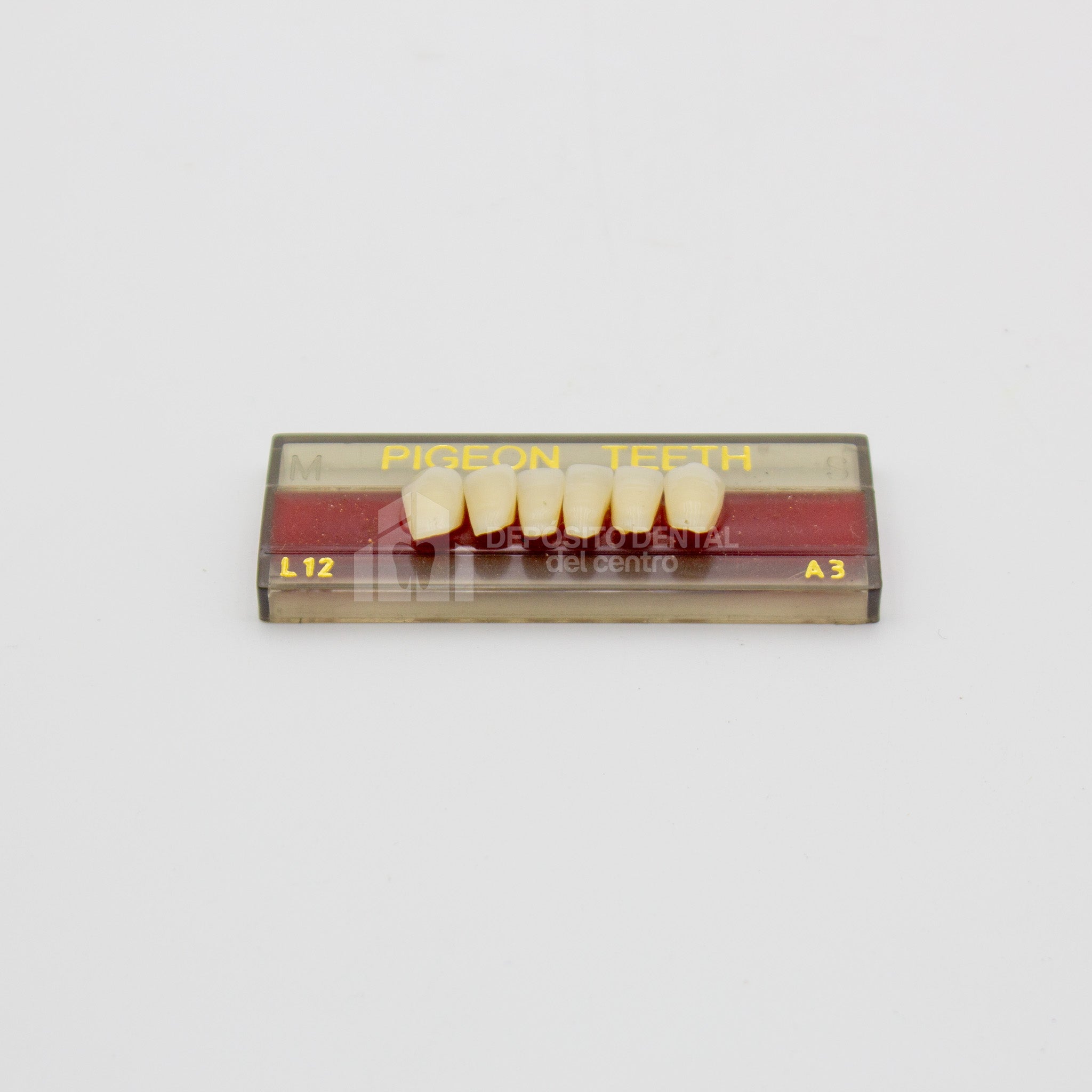 Tablilla de Dientes Pigeon Teeth Inferiores Anteriores L12 A3