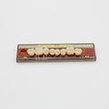 Tablilla de Dientes Pigeon Teeth Posteriores Superiores 24 A3