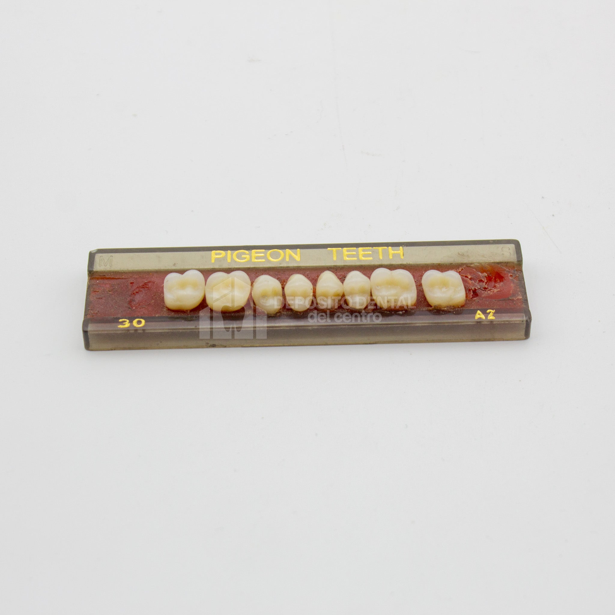 Tablilla de Dientes Pigeon Teeth Posteriores Superiores 30 A2