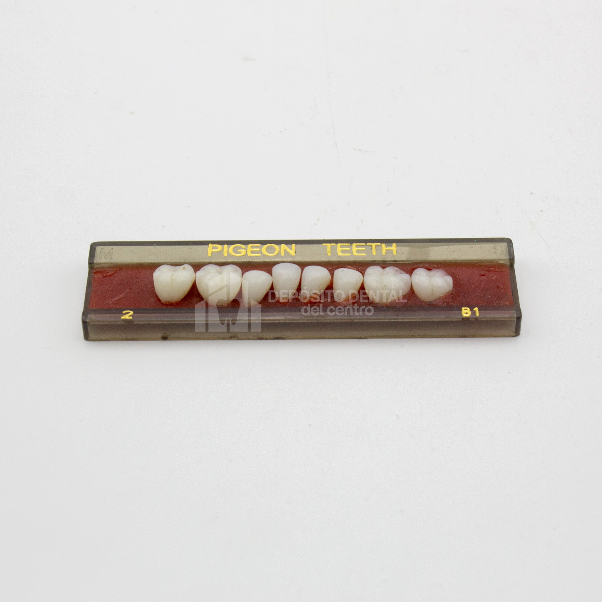 Tablilla de Dientes Pigeon Teeth Posteriores Inferiores 2 B1