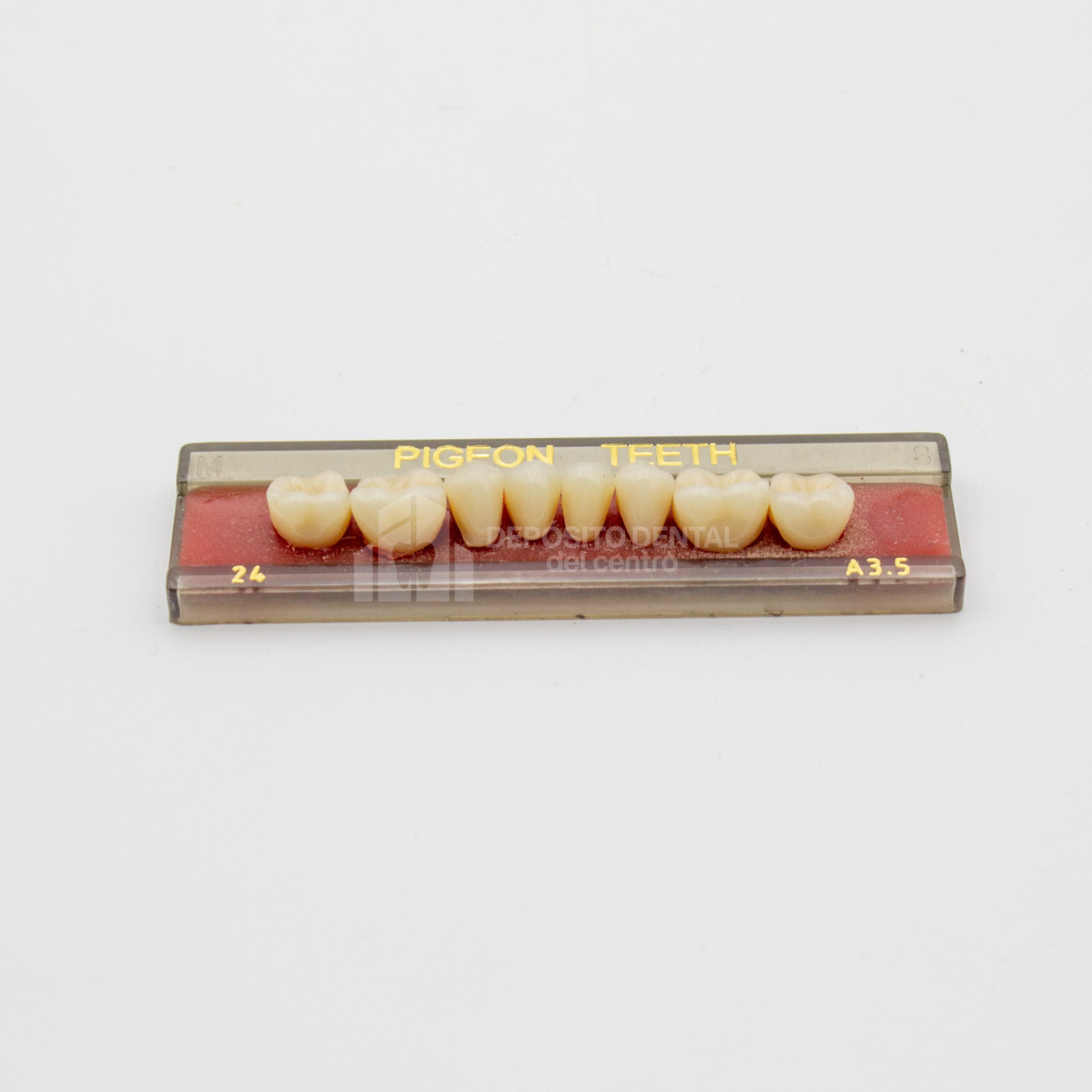 Tablilla de Dientes Pigeon Teeth Posteriores Inferiores 24 A3.5