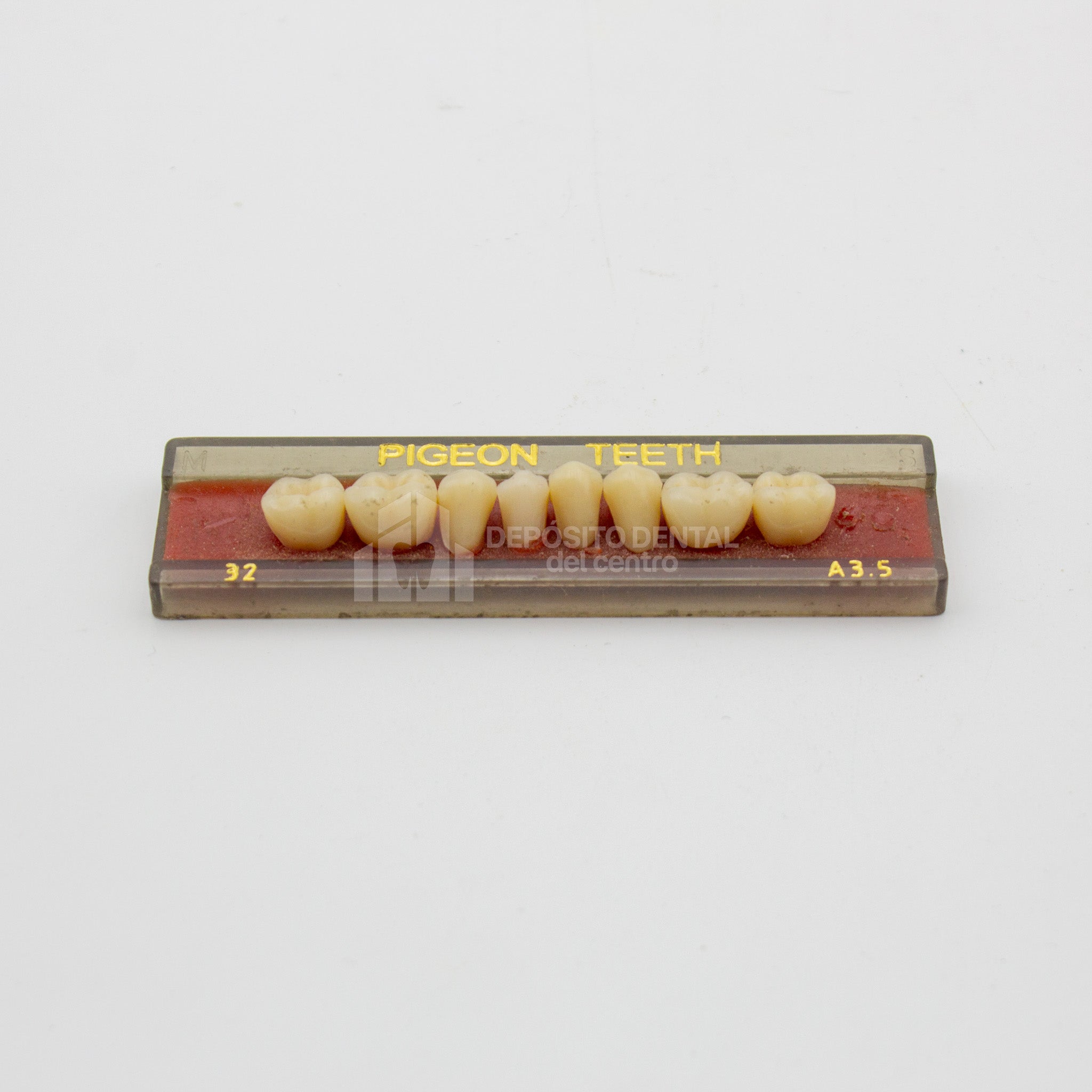 Tablilla de Dientes Pigeon Teeth Posteriores Inferiores 32 A3.5