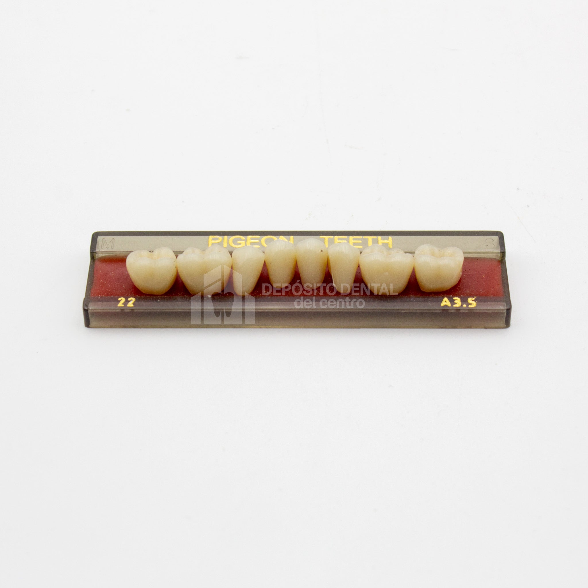 Tablilla de Dientes Pigeon Teeth Posteriores Inferiores 22 A3.5