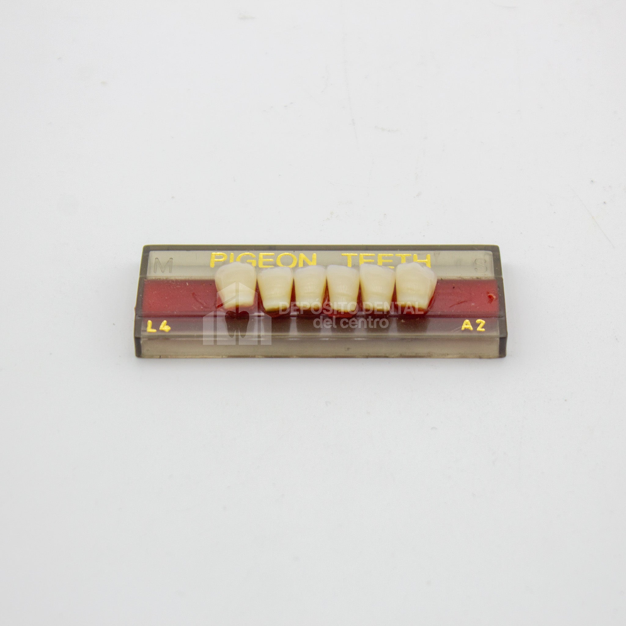 Tablilla de Dientes Pigeon Teeth Anteriores Inferiores L4 A2