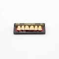 Tablilla de Dientes newtek Anteriores Superiores A26 65
