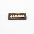 Tablilla de Dientes newtek Anteriores Superiores A26 62