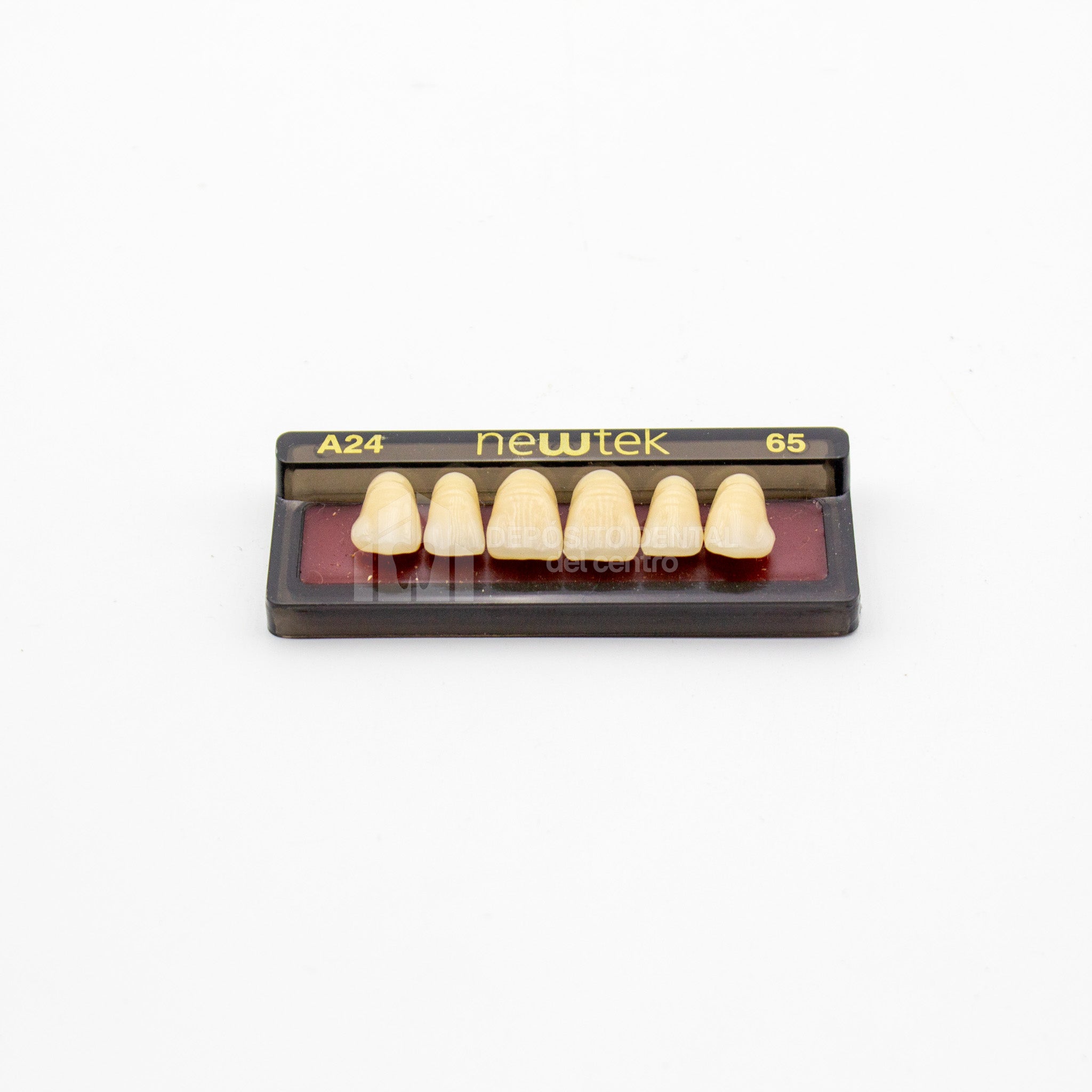 Tablilla de Dientes newtek Anteriores Superiores A24 65