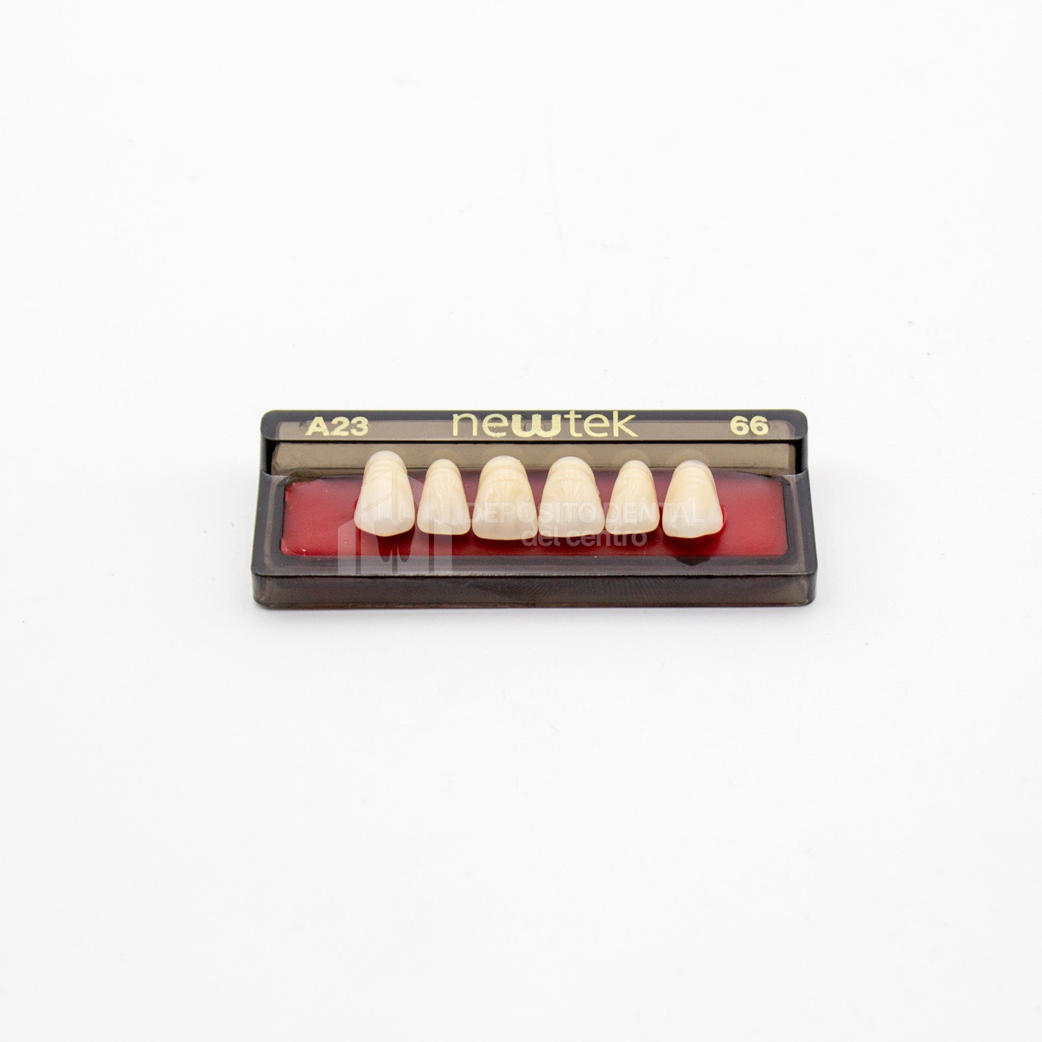 Tablilla de Dientes newtek Anteriores Superiores A23 66