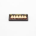 Tablilla de Dientes newtek Anteriores Superiores 136 66