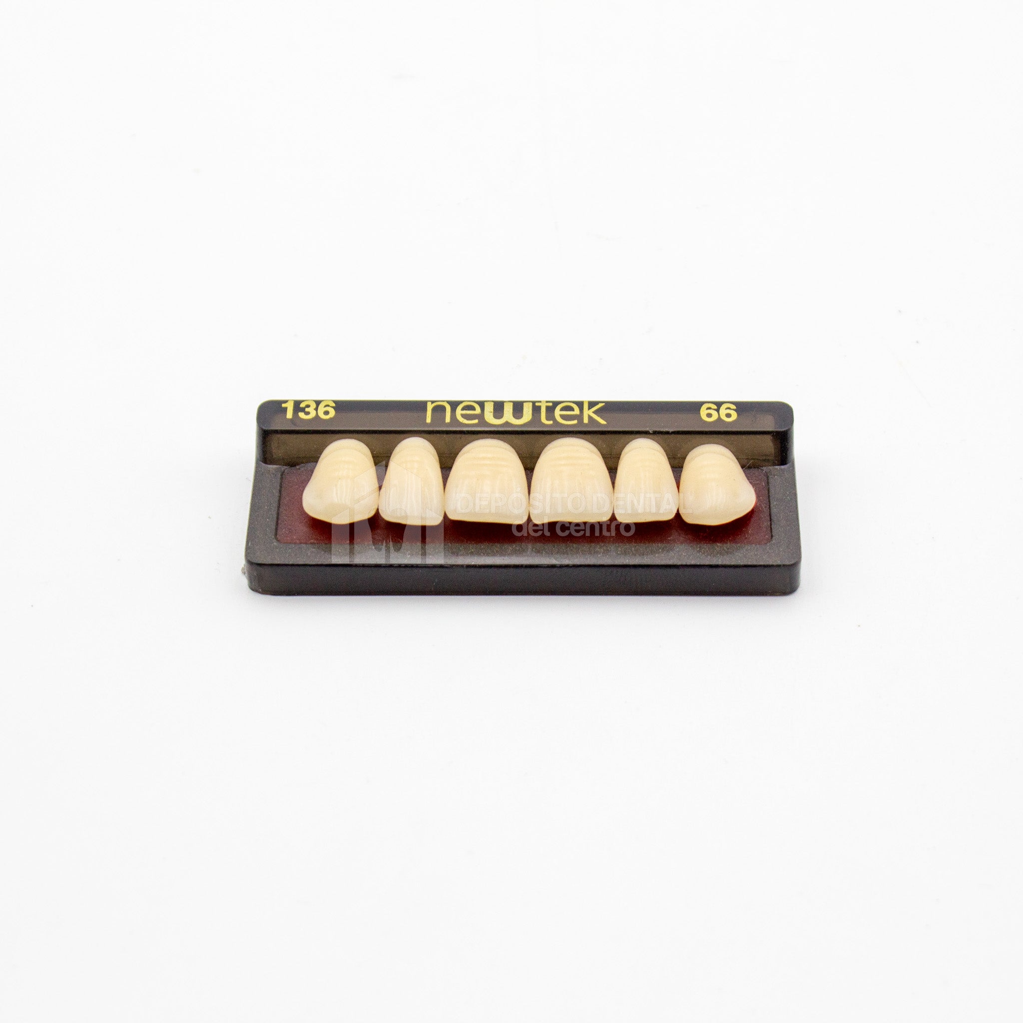 Tablilla de Dientes newtek Anteriores Superiores 136 66