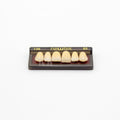 Tablilla de Dientes newtek Anteriores Superiores 136 65