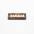 Tablilla de Dientes newtek Anteriores Superiores 136 62