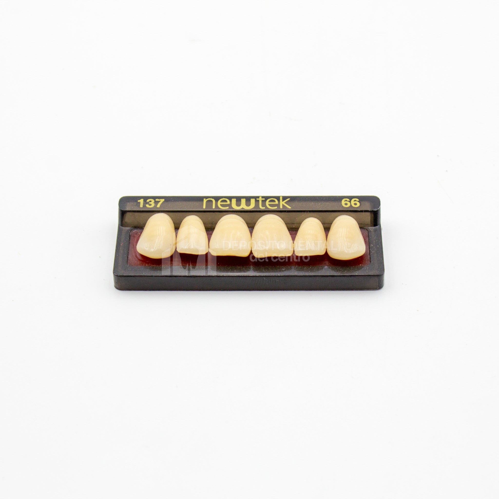 Tablilla de Dientes newtek Anteriores Superiores 137 66