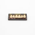 Tablilla de Dientes newtek Anteriores Superiores 137 65