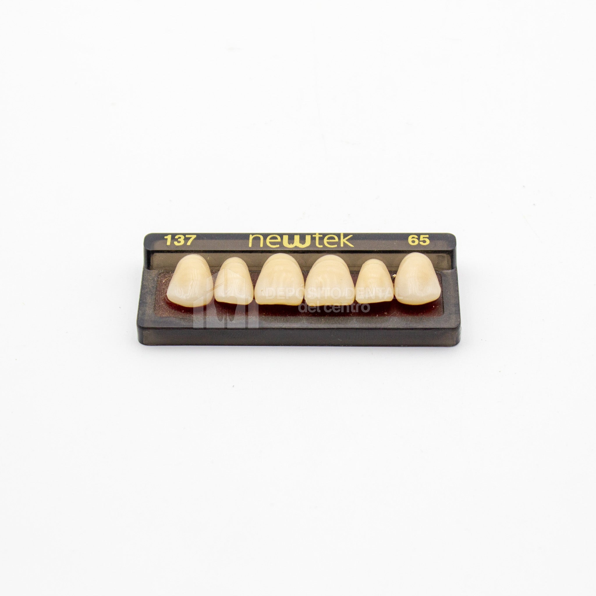 Tablilla de Dientes newtek Anteriores Superiores 137 65
