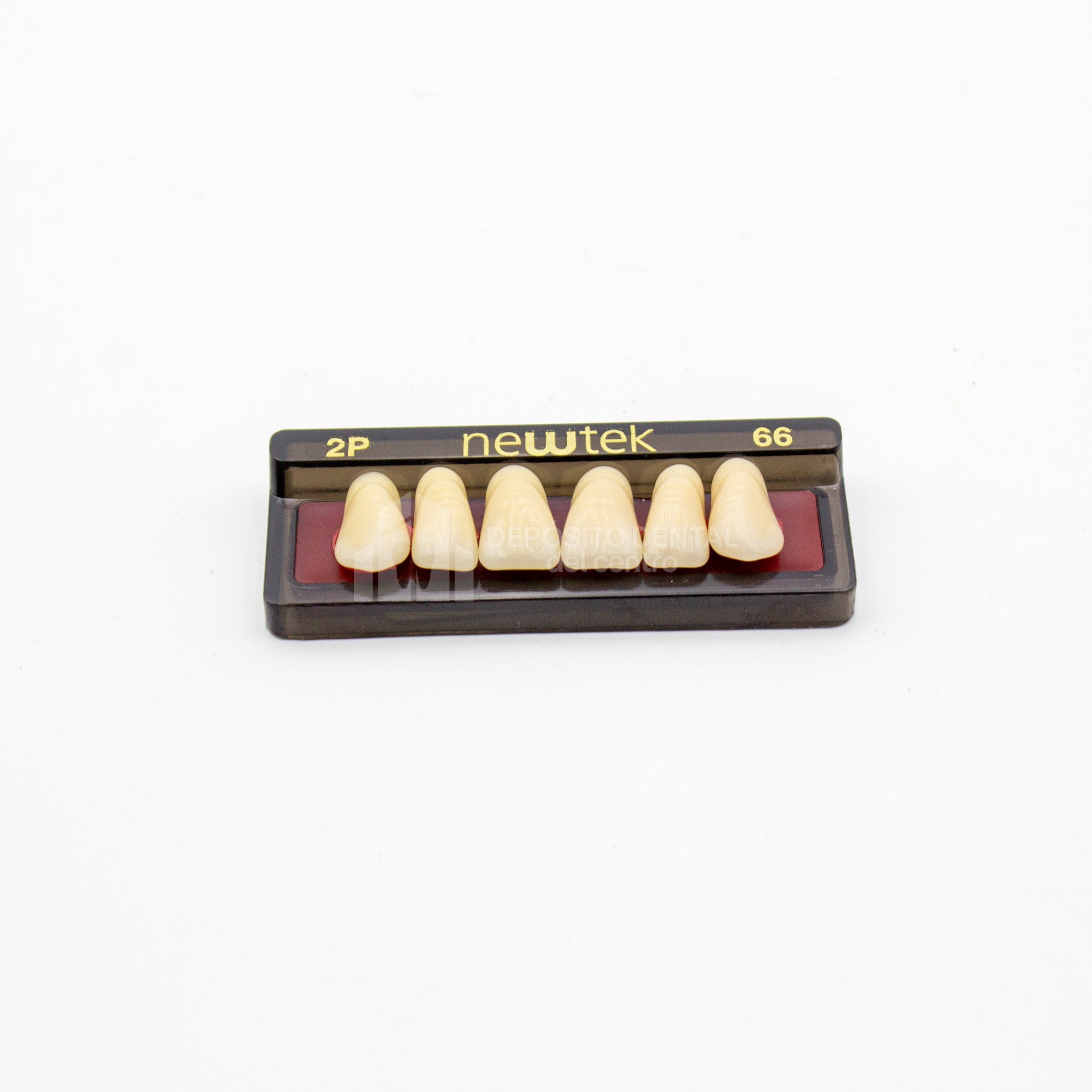 Tablilla de Dientes newtek Anteriores Superiores 2P 66