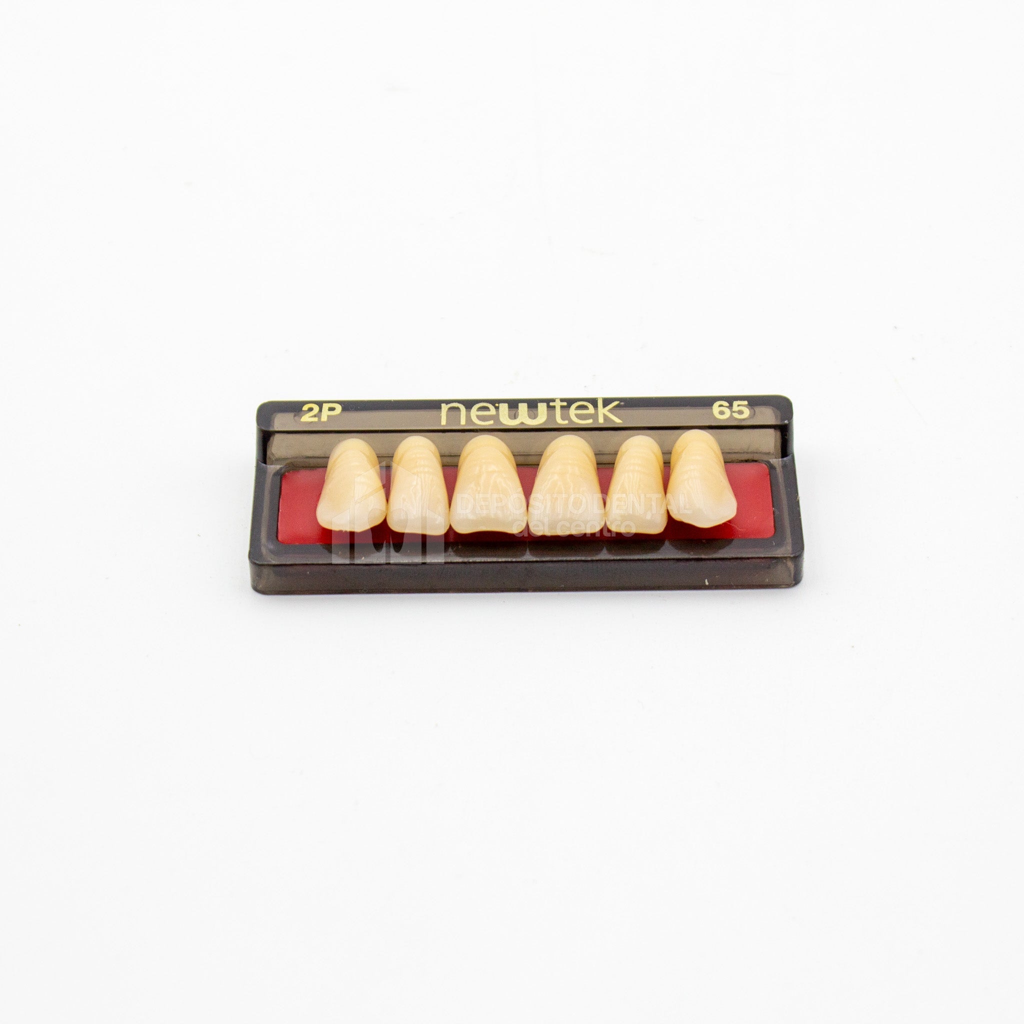 Tablilla de Dientes newtek Anteriores Superiores 2P 65