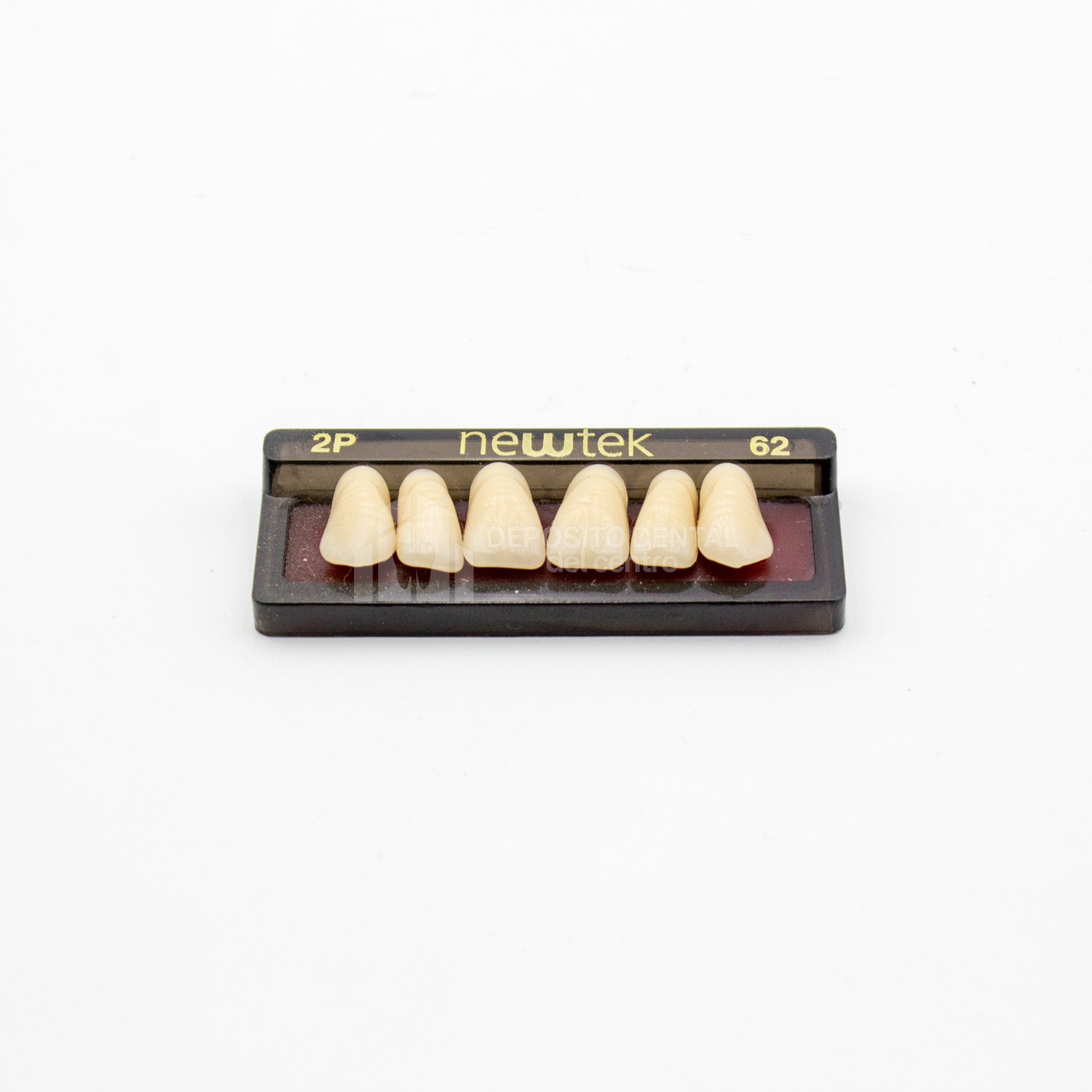 Tablilla de Dientes newtek Anteriores Superiores 2P 62