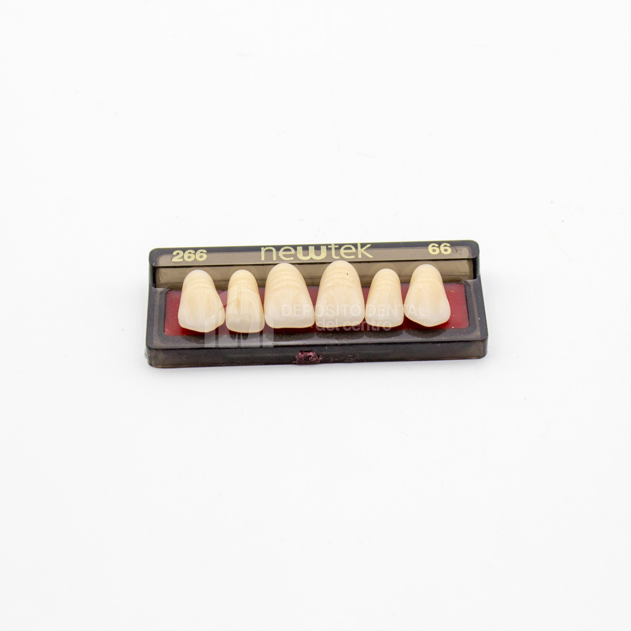 Tablilla de Dientes newtek Anteriores Superiores 266 66