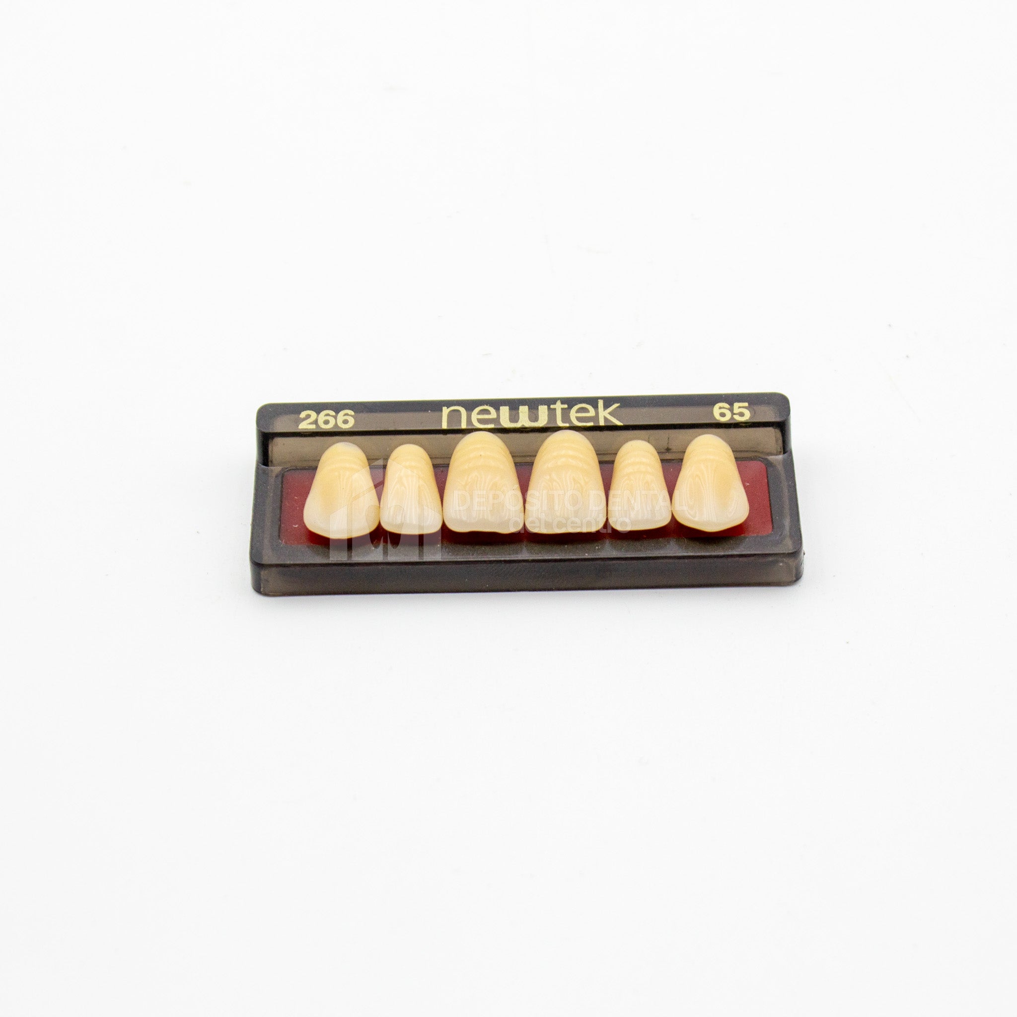 Tablilla de Dientes newtek Anteriores Superiores 266 65