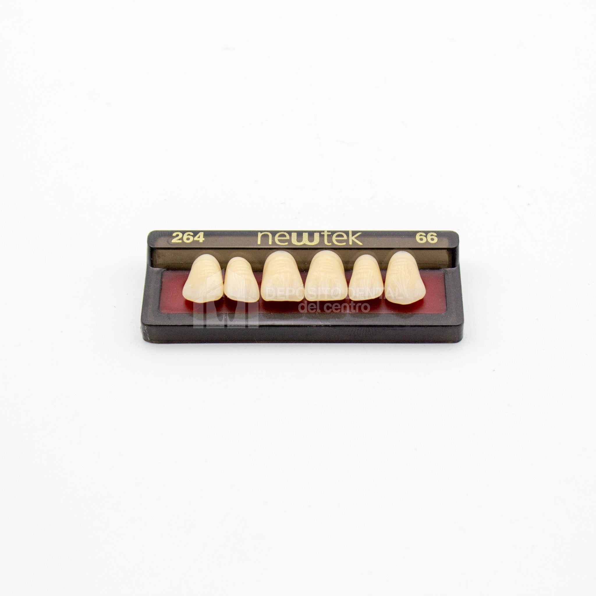 Tablilla de Dientes newtek Anteriores Superiores 264 66