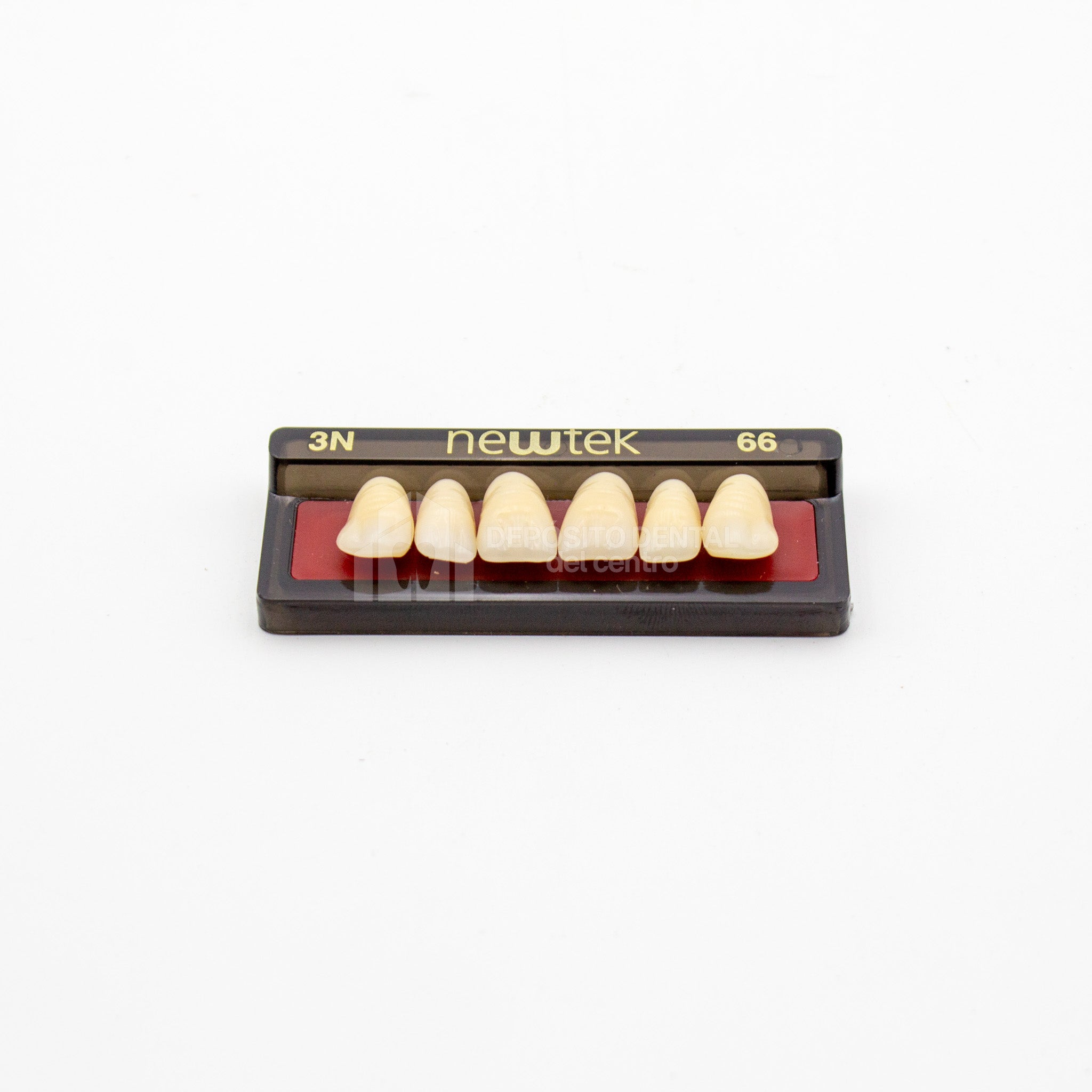 Tablilla de Dientes newtek Anteriores Superiores 3N 66