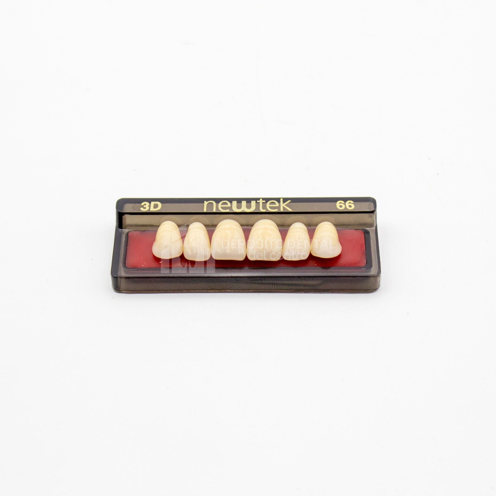 Tablilla de Dientes newtek Anteriores Superiores 3D 66