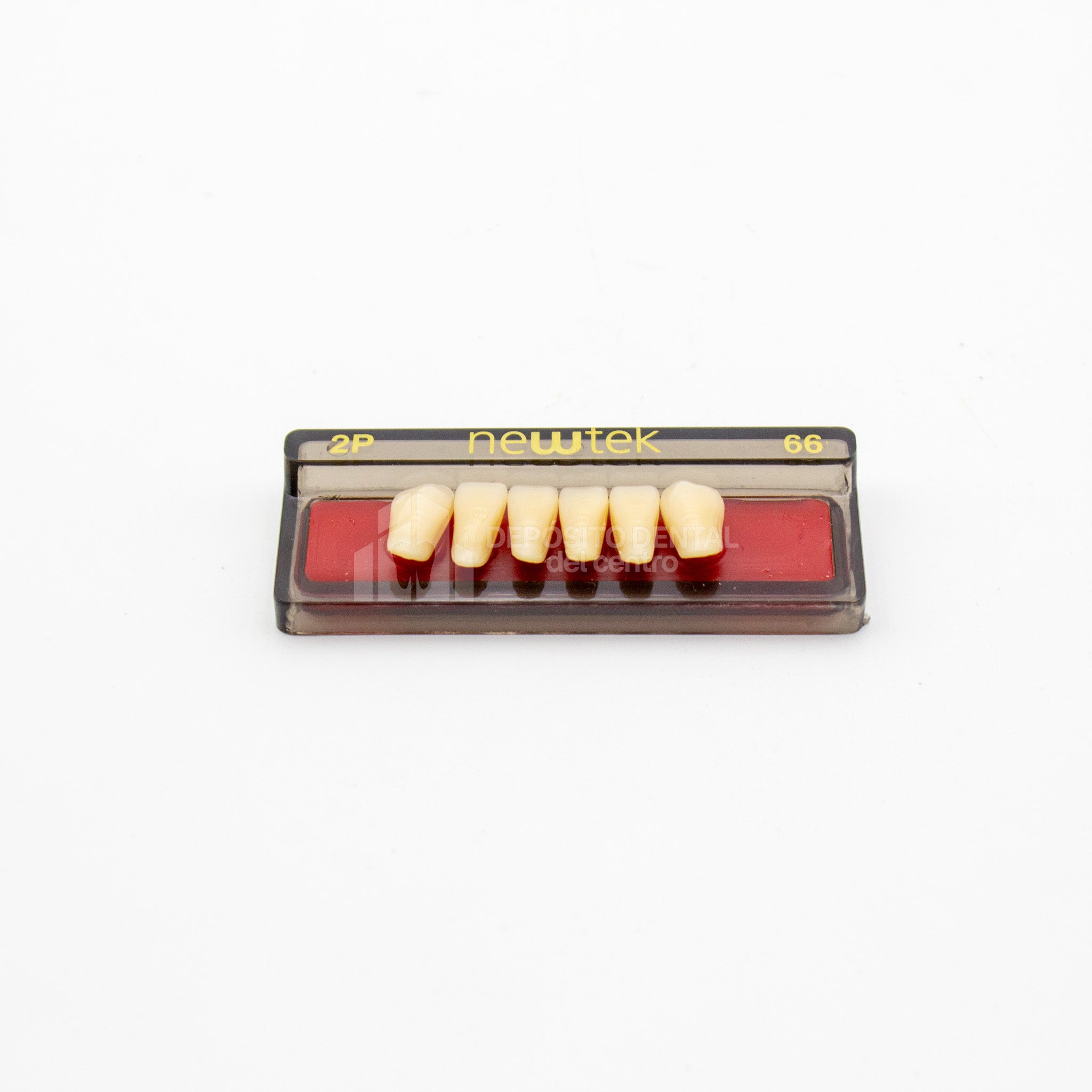 Tablilla de Dientes newtek Anteriores Inferiores 2P 66