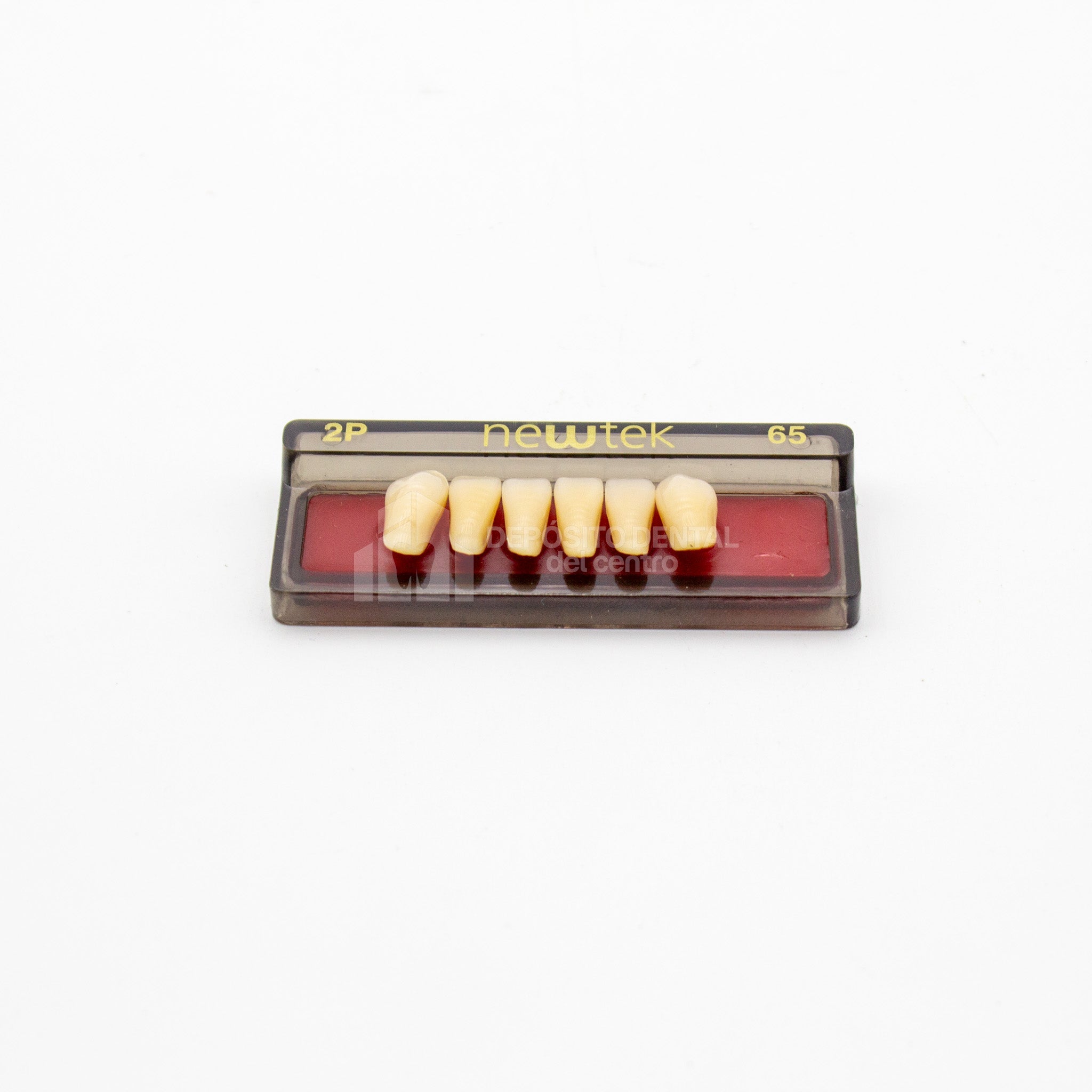 Tablilla de Dientes newtek Anteriores Inferiores 2P 65